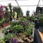 RHS Chatsworth Flower Show 2018 – Major new contract for EFS Europe 1