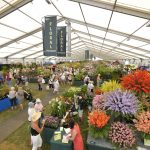 Losberger DeBoer RHS Hampton Court Flower Show, Floral Marquee 4