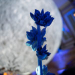 Venue Hire at the Natural History Museum launches Museum of the Moonas exclusive events space twobytwo_museum_of_the_moon_0032__1_