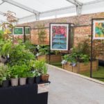 EFS Europe secures 3-year contract with Royal Horticultural Society at Chatsworth House 2
