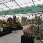 EFS Europe secures 3-year contract with Royal Horticultural Society at Chatsworth House disabled_access_roadway_for_events