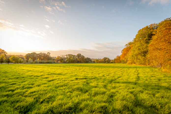 Make Venues introduces Sustainability Champions