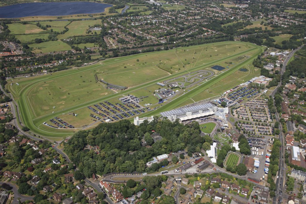 Host Your 2026 Exhibition at Sandown Park Racecourse colin